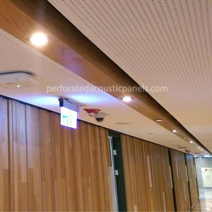 Acoustic Wood Slat Ceiling